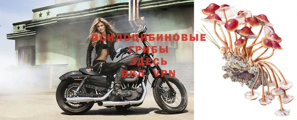 ГАЛЛЮЦИНОГЕННЫЕ ГРИБЫ Кинешма