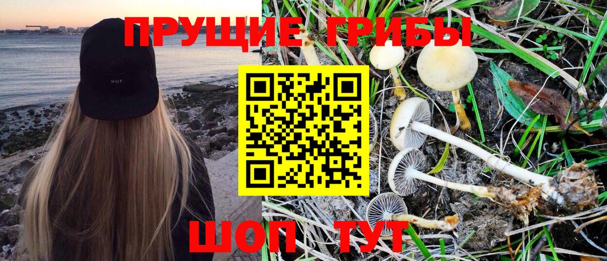 Галлюциногенные грибы GOLDEN TEACHER  Галлюциногенные грибы Cubensis  Вход с VPN  Кинель 
