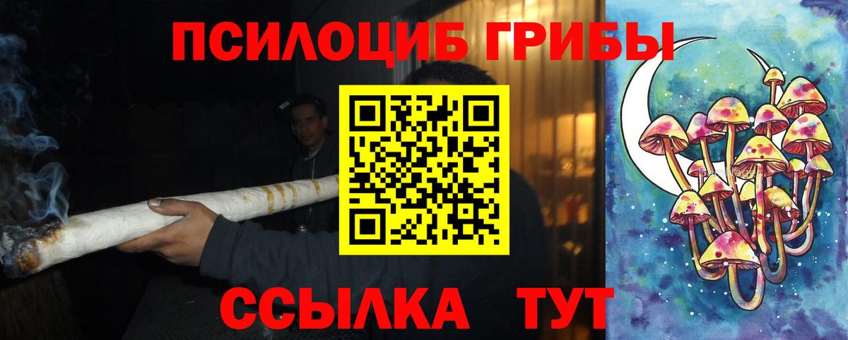 Псилоцибиновые грибы GOLDEN TEACHER Кинель