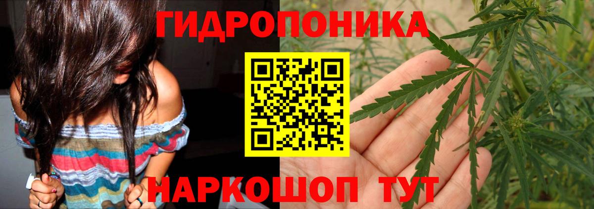 Бошки Шишки ГИДРОПОН Кинель